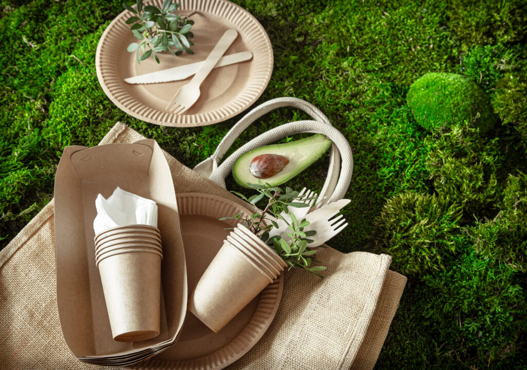 assiettes jetables bio